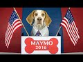Maymo the Dog Runs for President: Maymo 2016