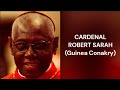 113 cardenal robert sarah guinea conakri cardenales cnclave catlicos