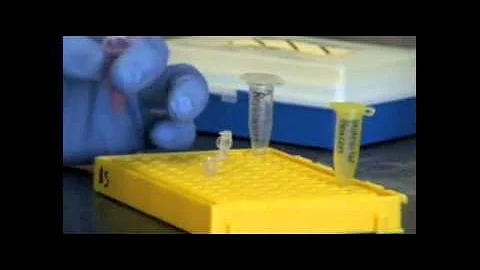 Stars in Global Health: Julianne Gibbs-Davis