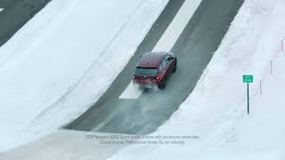 Honda Passport 38 Below