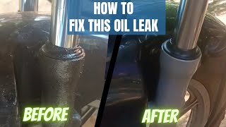how to fix motorcycle fork oil leakage| bajaj ct100 | oil seal replacement| price