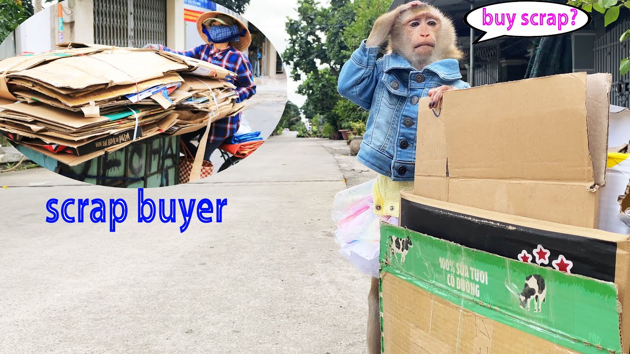 Monkey Lyly sells scrap metal to get money to buy snacks but her mother stops her from eating them.