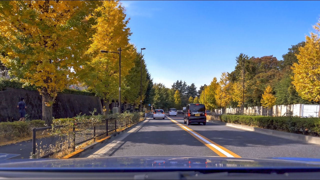 秋の都下ドライブ 2021 調布 府中 国立 立川 小平 小金井 [車載動画  2021/11] 東京都