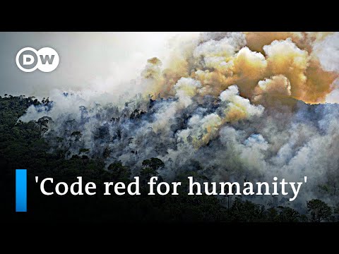 New IPCC report: More heat, more extreme weather events | DW News