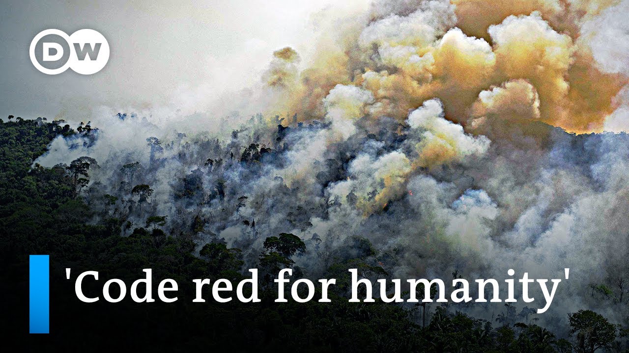 New IPCC report: More heat, more extreme weather events | DW News