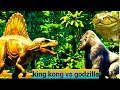 king kong vs godzilla? king kong