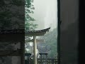 ここ、まじ神秘的です…！