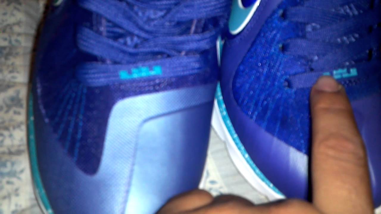 lebron soldier 9 hornets