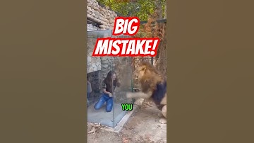 Als je ooit een dierentuin bezoekt... MAAK DEZE FOUT DAN NIET HERHAALD! 😳🦁