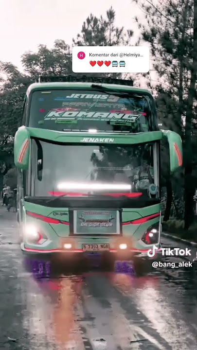 Basuri kucing garong versi Komang #busmania #basuri #buspariwisata #viralvideo #fypppp