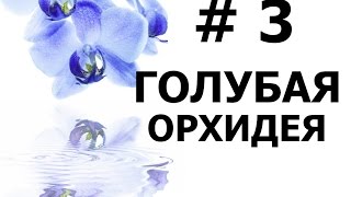 Бисероплетение (Голубая Орхидея 3 ч.) Мастер-класс Бисероплетение (Голубая Орхидея 3 ч.) Мастер-класс