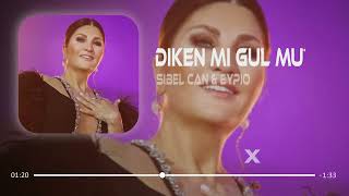 Sibel Can & Eypio - Diken Mi Gül Mü ( Ali Güneş Remix )