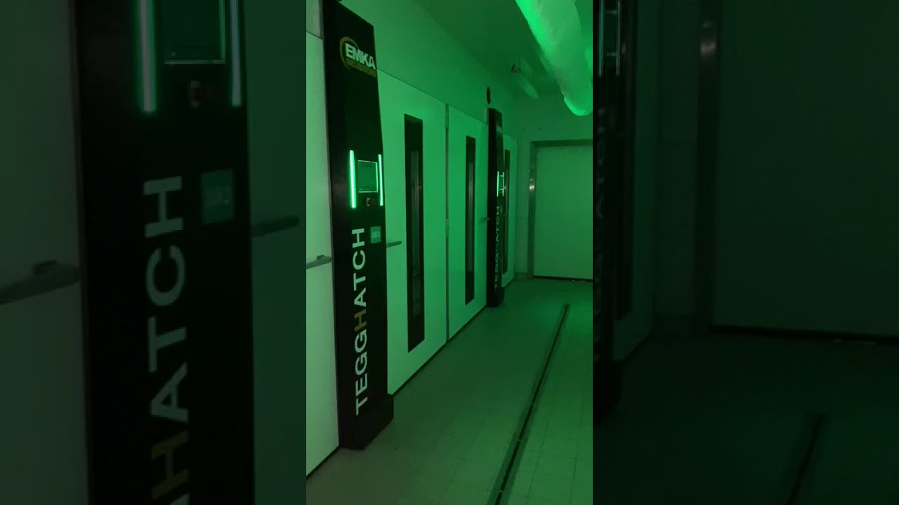 Novogen Layers new Pure-line & GGP hatchery