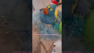 ABC Party Outfit 🦆 DIY #raveoutfit #diyoutfit #groovecruise
