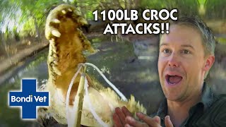 You Only Get ONE CHANCE With a 1100lb CROC!! | Full Episode | The Wild Life of Tim Faulkner