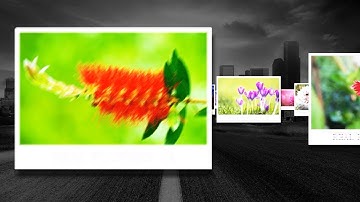 3D Slideshow After Effects | 3D Picture Gallery Slideshow