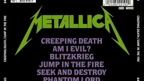 Metallica - Leper Messiah Live 1987