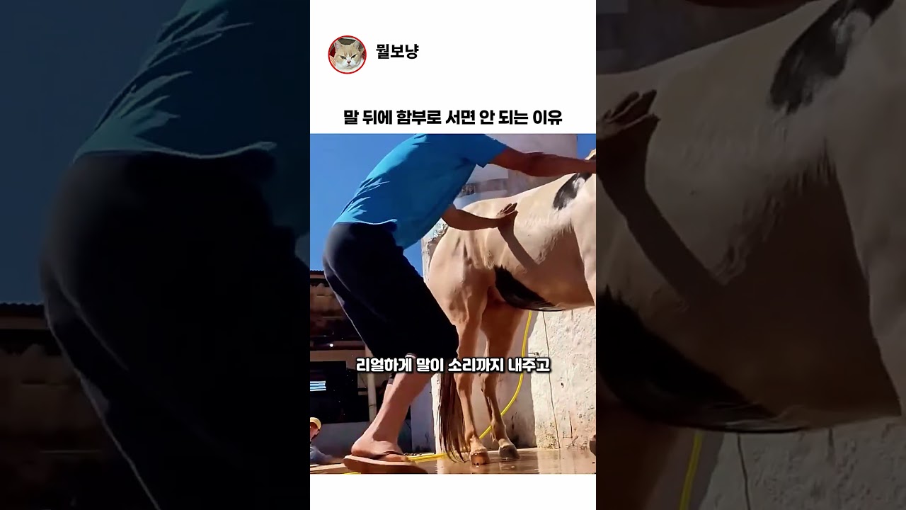 말 뒤에 서면 안되는 이유