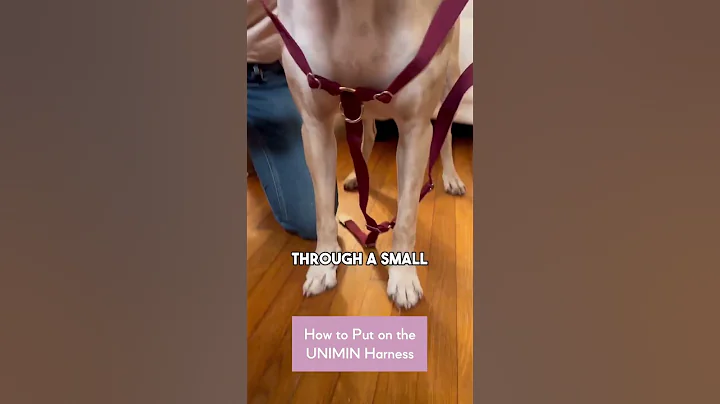 How to  Wear UNIMIN Harness🐶🐱