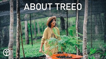 Meet TREEO - a pioneer in single-tree monitoring!