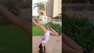 Multicoloured Pastel Leotard