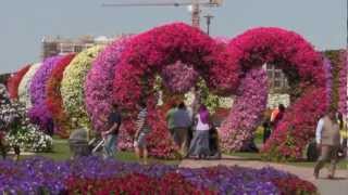 Miracle Garden Dubai