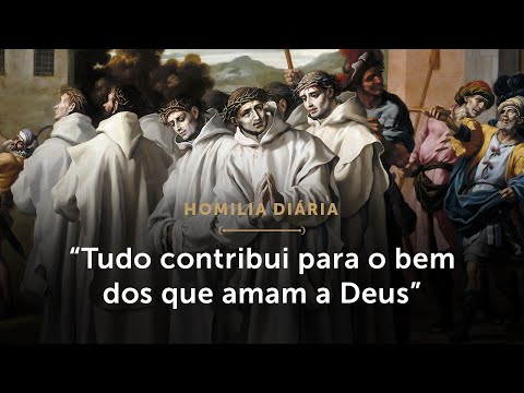 Homilia Diária | “Tudo contribui para o bem dos que amam a Deus” (Sábado da 28ª Sem.do Tempo Comum)