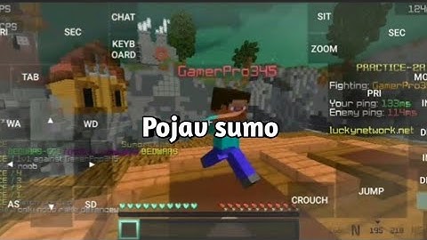 Sumo Gameplay [Pojavlauncher/Mobile java]