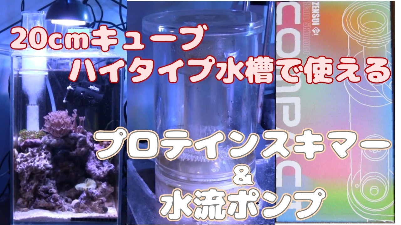 Protein skimmer and water flow pump for use with 20cm cube high