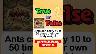 How Much Can Ants Actually Carry🐜 #shorts #trueorfalse #animals