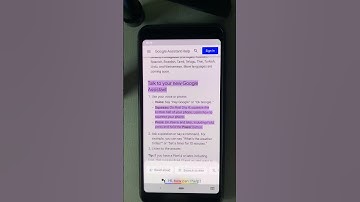how to talk to Google Assistant by squeezing (Pixel 2 to 4 only)