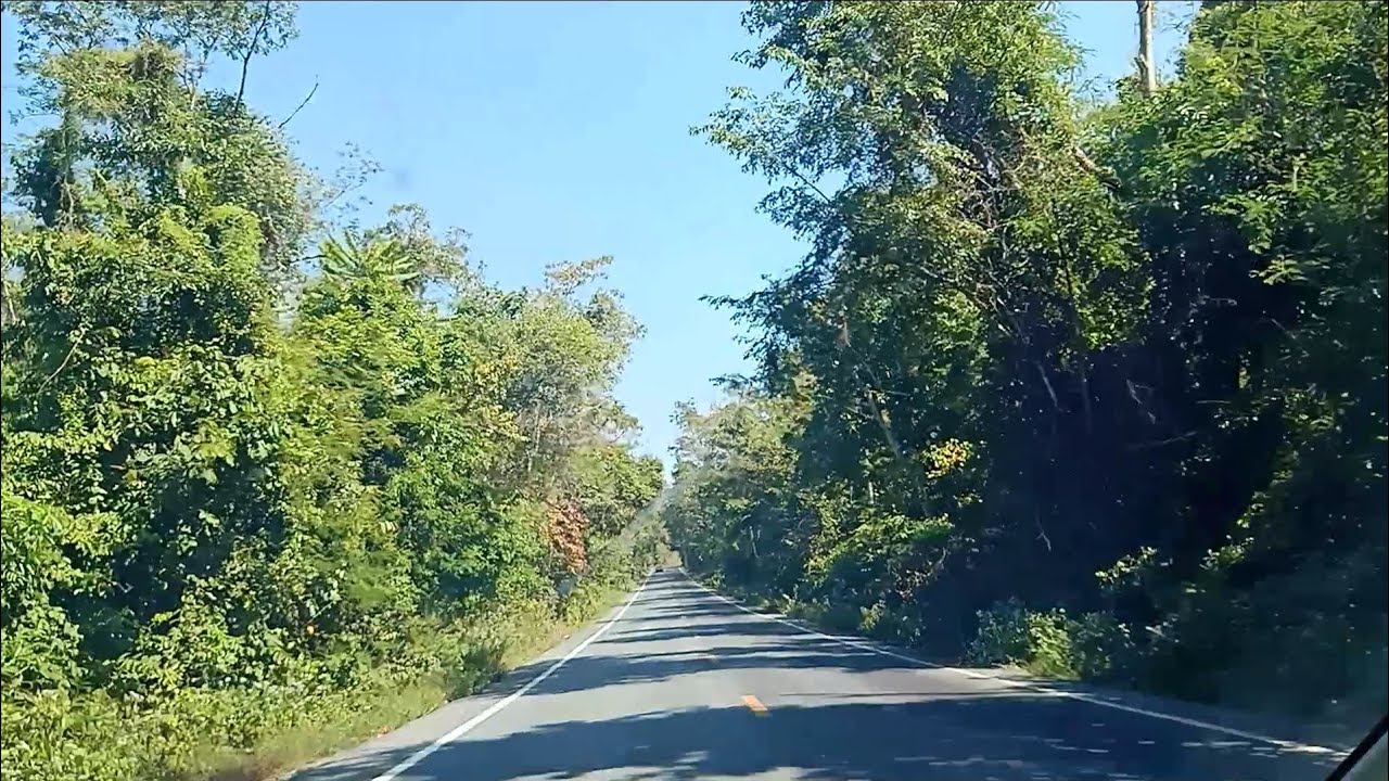 รีวิวถนนเส้นตัดผ่าน ป่าอ่างฤาไน จากทางด้านท่าตะเกียบ ฉะเชิงเทรา ไปทางด้าน วังน้ำเย็น สระแก้ว