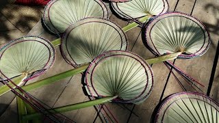 How to make amazing hand fan with palm trees leaf with village style