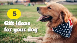 Datos The Absolute Best Gifts for Dogs -2022 | 5 Gift Ideas for Your Dog Actualización