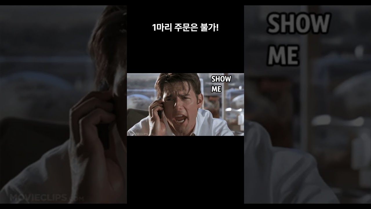 #오징어난전 #속초
