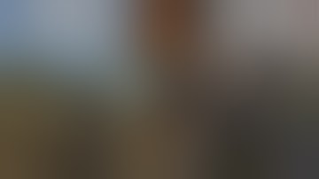 Evolution of RUST - From 2013 to 2019