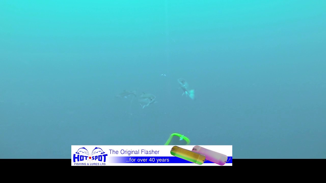 Hot Spot Flashers do rotate