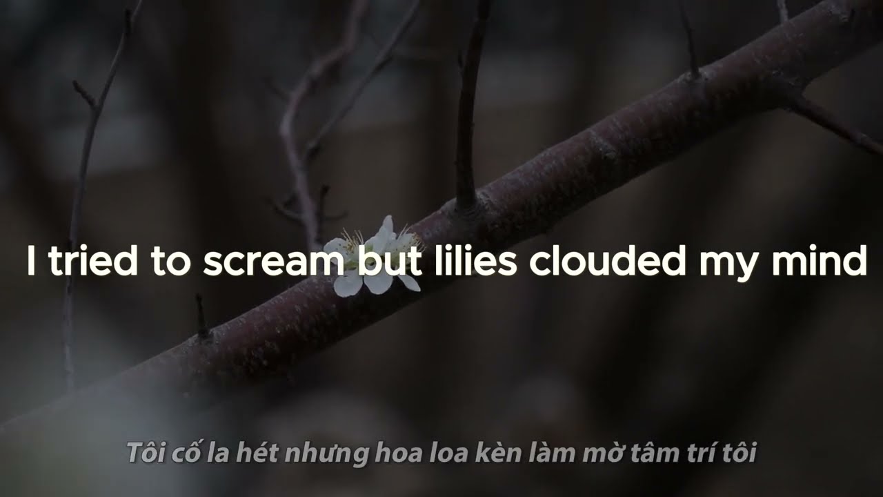 Saint Avangeline - Lilith (Lyrics - Vietsub) ( Slowed + reverb)