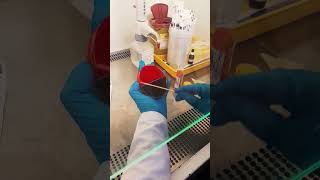 Besiyerinde Bakteri Kültürü Ekimi (Cultivation Of Bacterial Culture In A Petri Dish)
