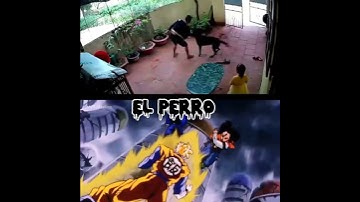 Thumbnail of f en el chat #gohandelfuturo mi último video #shortsviral #viral #peru
