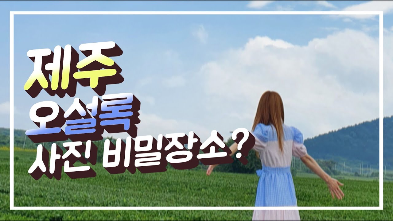 #OSOLLOC #오설록 예쁜 #사진찍기좋은곳 #제주항공우주호텔 쪽으로 오세요! #제주 #제주국제학교 #한국어 #리사 샘과! #제주여행 🏝 #제주