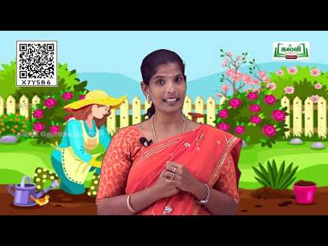 வகுப்பு 4 | Class 4 | அறிவியல் | தாவரங்கள் | இலையின் பாகங்கள் |அலகு1| பகுதி2|TM | KalviTv