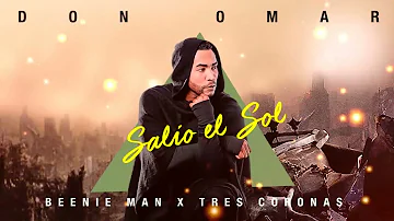 Don Omar x Beenie Man x Tres Coronas - Salio El Sol (Remix Belly Danza)