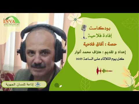 واقع و تحديات انتاج الحليب في تلمسان     