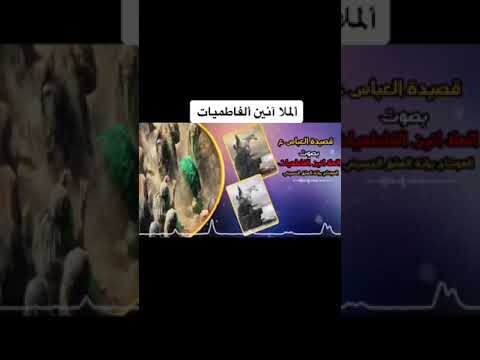 والله تموت الفركه يخال ابني ملا انين الفاطميه