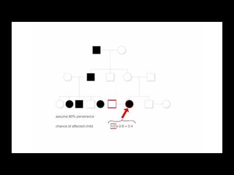 "Genetic Risk Assessment" by Bruce Korf for OPENPediatrics