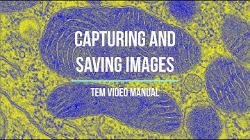 Chapter 8 - TEM Video Manual -  Capturing and Saving images