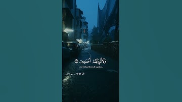 تلاوه خاشعه للشيخ هزاع البلوشي - سورة الحجر #قران_كريم