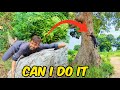Trying to Climb 400 Feet  Tree 🌴 | Can I Do It | This is not easy | 100 Hundred years old tree 🎄