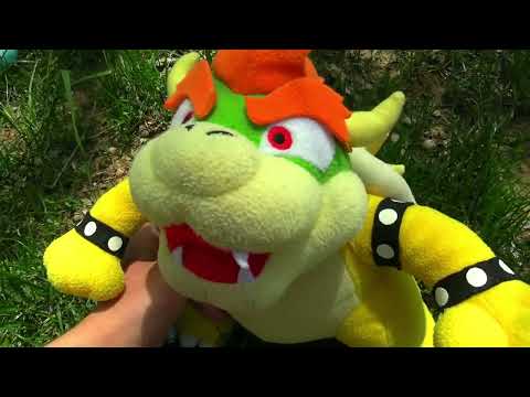 Bowser Gets CAUGHT IN 4K 📸